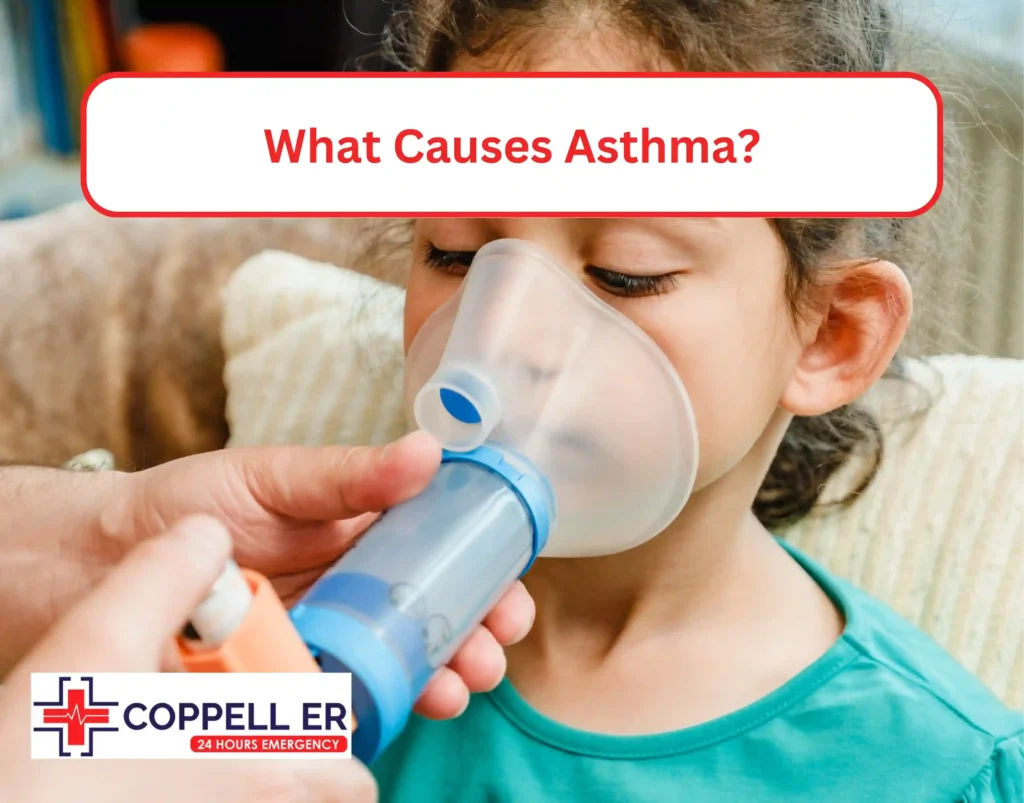 What Causes Asthma