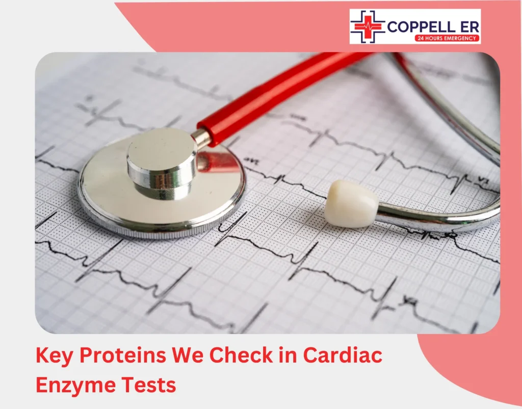 Key Proteins We Check in Cardiac Enzyme Tests