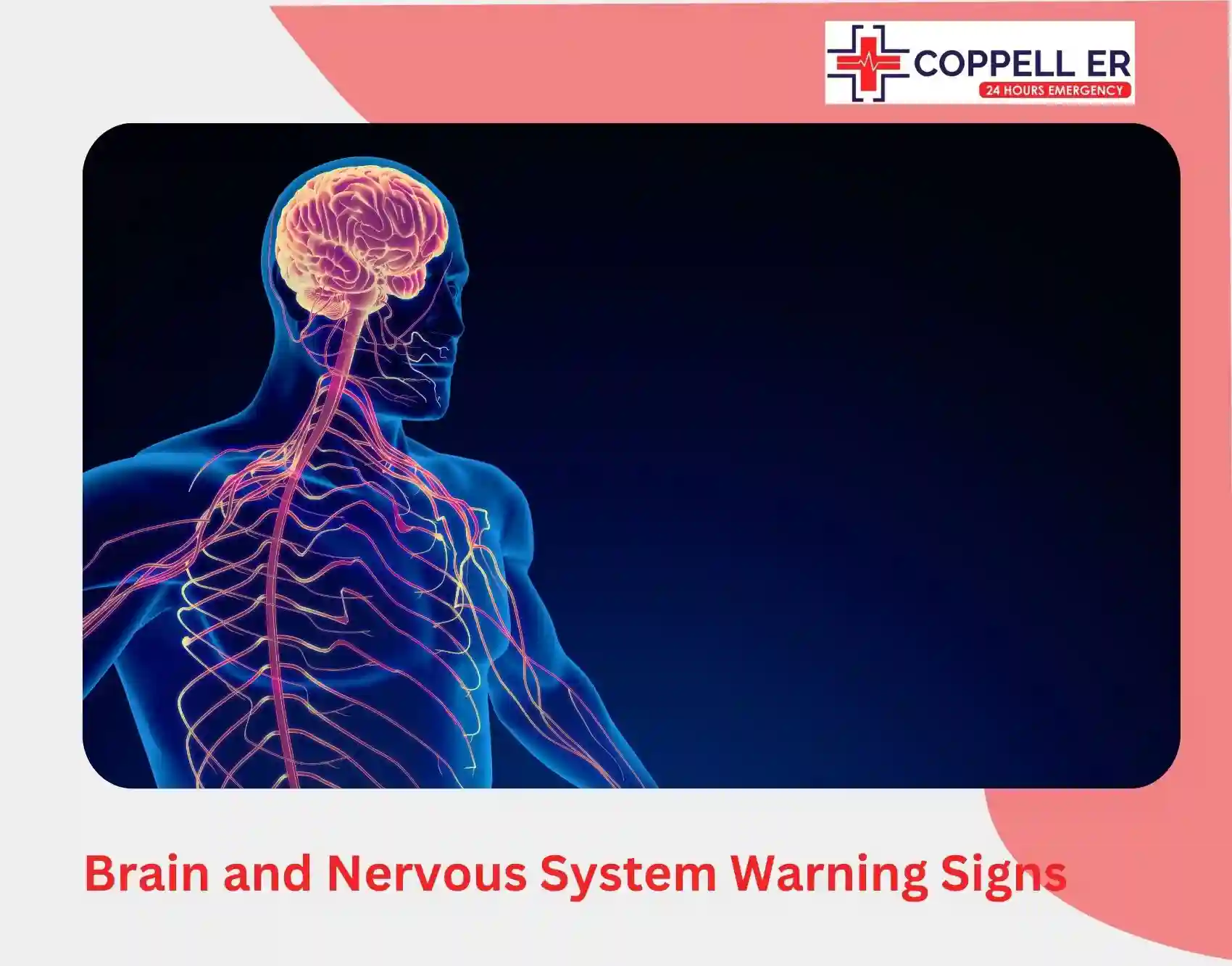 Brain and Nervous System Warning Signs